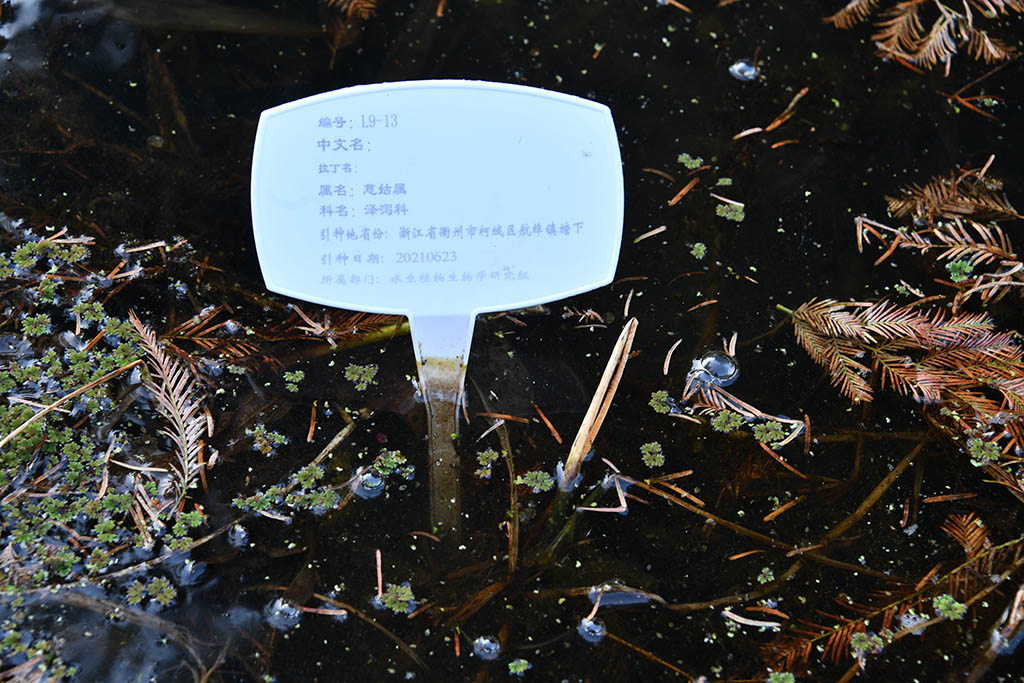 編號L9-13