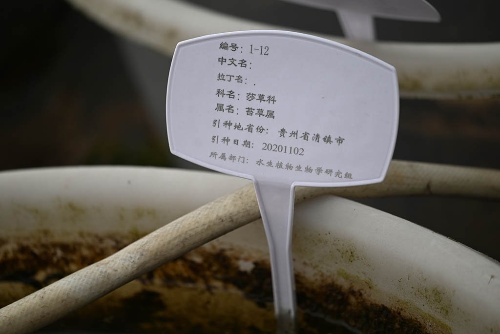 編號1-12